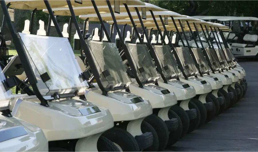 How much do gas golf carts cost (comparing prices)