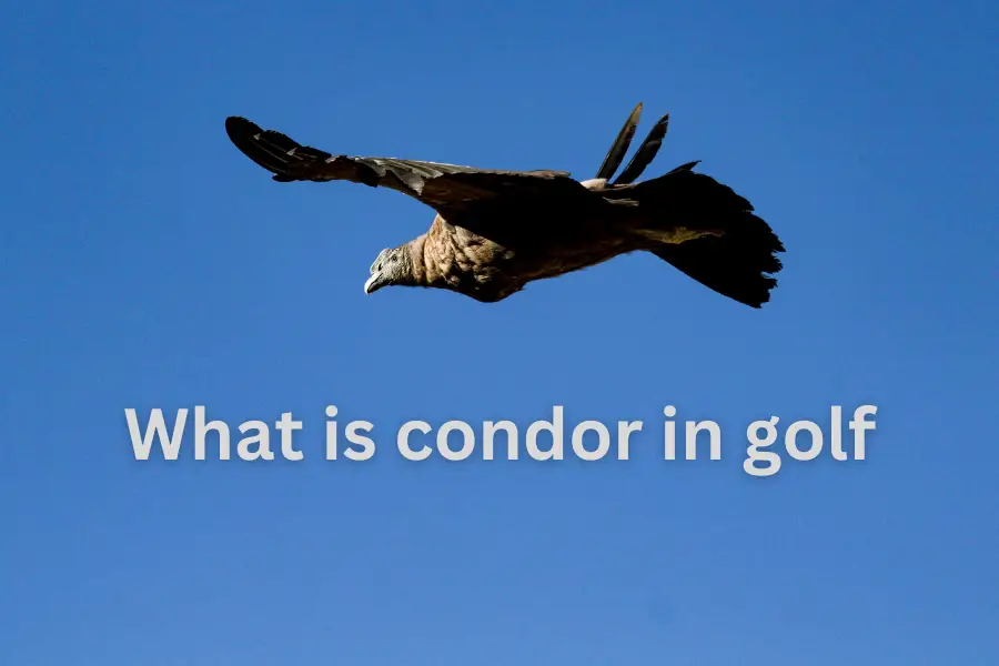 What is condor in golf