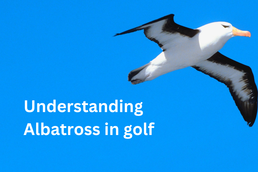 understanding albatross in golf