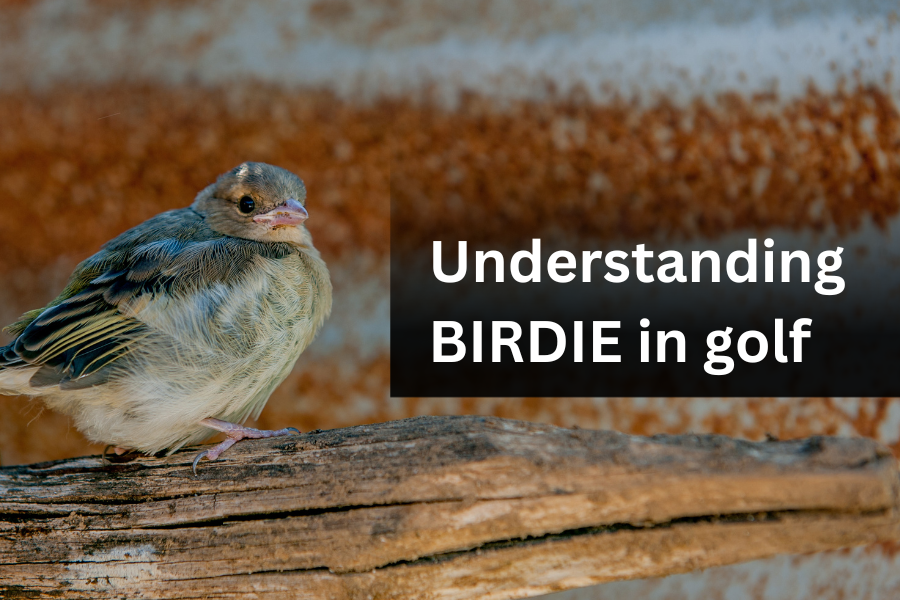understanding birdie in golf
